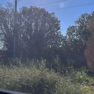 Meet your Posher, Priscila